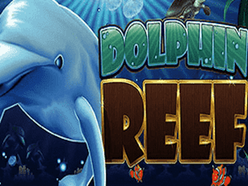Dolphin Reef