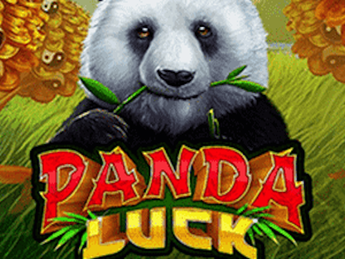 Panda Luck
