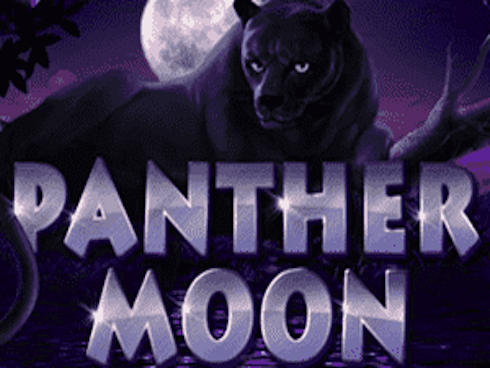 Panther Moon